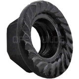 Serrated Flanged Nut